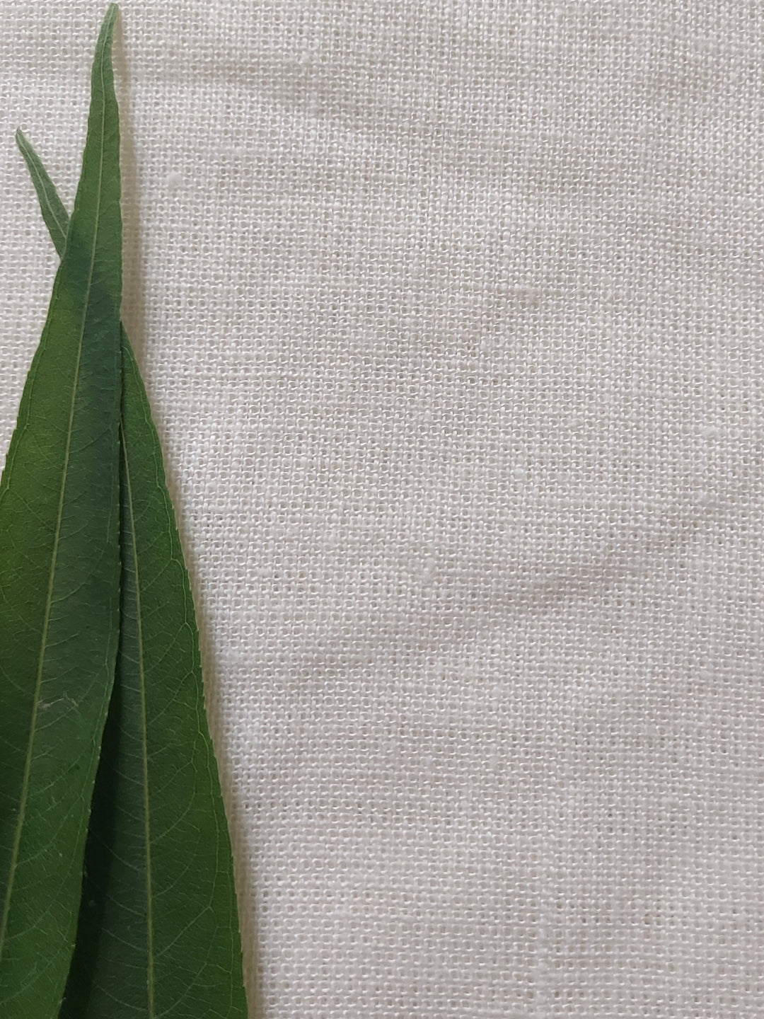100% Linen Fabric | Sustainable Textile | 220 GSM | Powerloom Weave - MBA Fabricwala